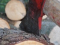 P1010570_1024