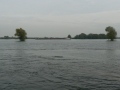 Die Elbe bei Hitzacker