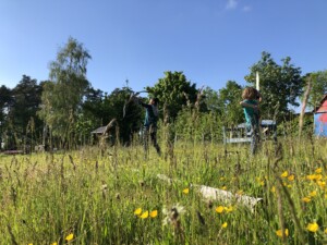 IMG_1116