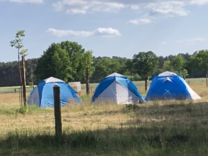 IMG_3024